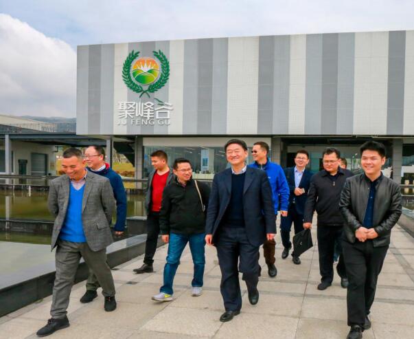 集團(tuán)黨委書記、董事長任丁率隊調(diào)研聚峰谷