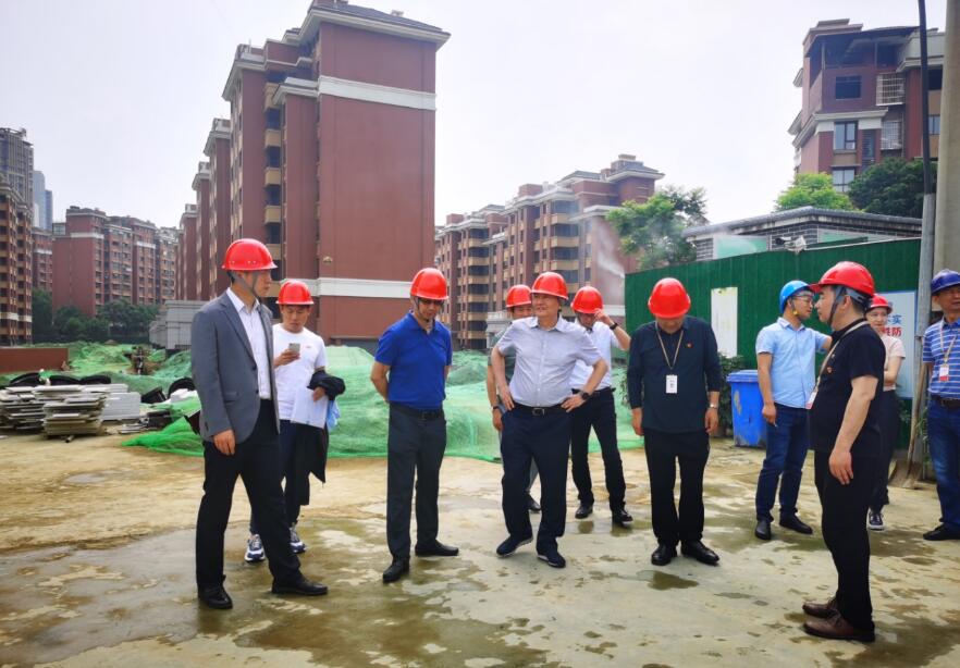 尊龍凱時(shí)集團(tuán)經(jīng)營提升年專責(zé)工作組 開展系列項(xiàng)目督導(dǎo)